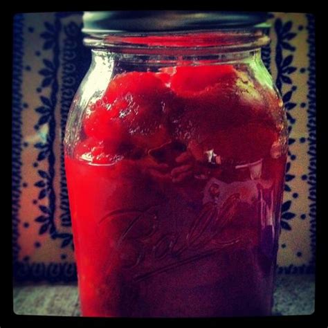 Canning Tomato Puree (Terra Americana)