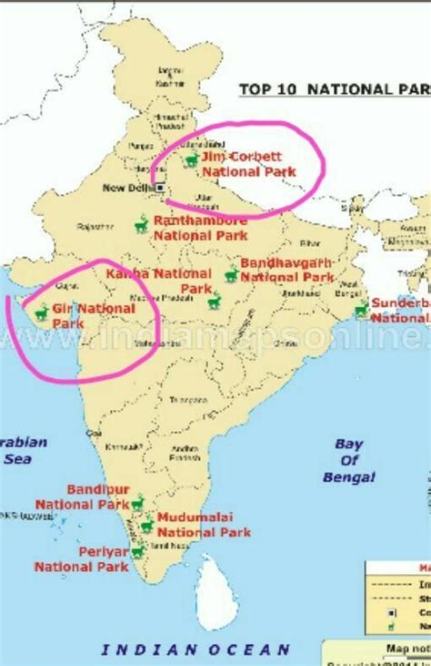 On A Outline Map Of India Locate Gir Natinal Park And Jim Corbett ...