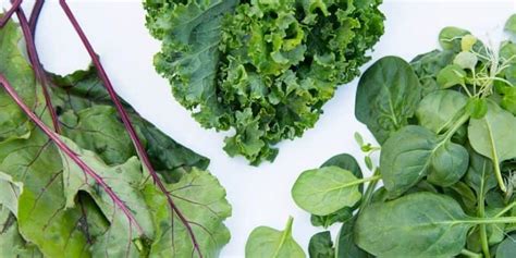 The Benefits of Leafy Greens Make It a Powerful Superfood | A Lean Life