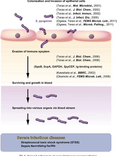 Figure 1 from The virulence factors and pathogenic mechanisms of ...