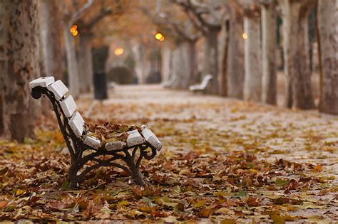 HD wallpaper: black metal base white wooden garden bench, fall, park ...