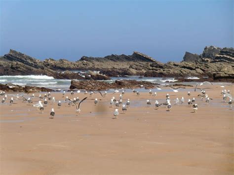 Top 10 Hidden Beaches In Portugal - Local Tips - Birdmi Travel Blog