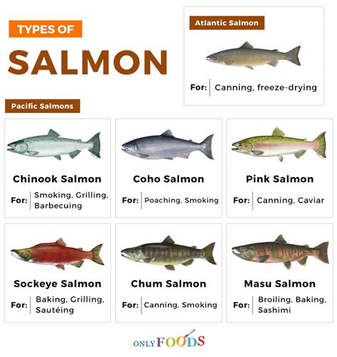 7 of the Best Types of Salmon