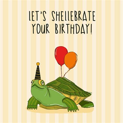 Turtle Birthday Cards | Boomf