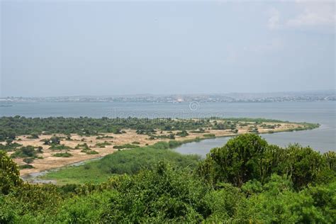 Lake Edward, Uganda stock photo. Image of exotic, flora - 170771286