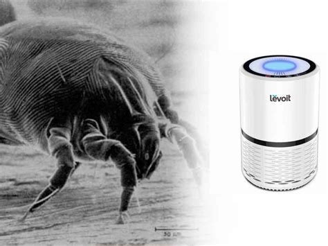 Best Air Purifiers for Dust Mites - Buyers Guide - House Cleaning Advice