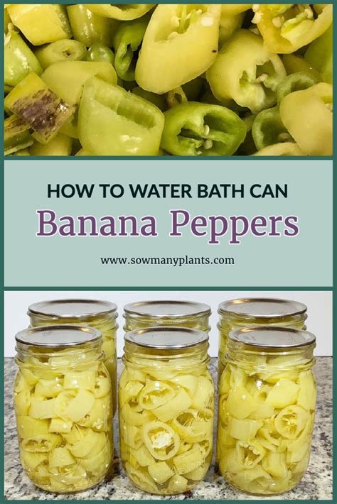 Easy Step-by-Step Guide to Tasty Pickled Banana Peppers