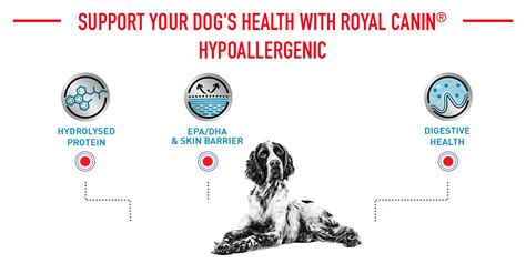 Royal Canin Veterinary Dog - Hypoallergenic at bitiba!