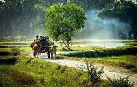 Pin by Dhiraj Ahlawat on Photo | Landscape photography nature ...