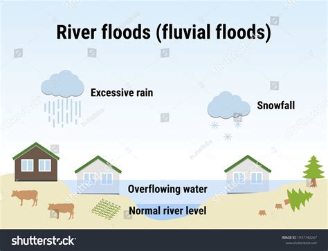 River Floods Fluvial Floods Flooding Infographic Stock Vector (Royalty ...