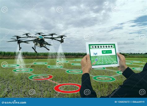 Iot Smart Agriculture Industry 4.0 Concept, Drone In Precision Farm Use ...