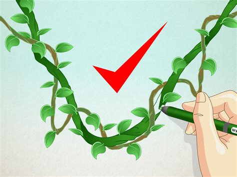 How to Draw a Jungle Vine: 7 Steps (with Pictures) - wikiHow