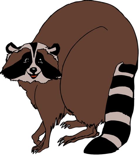 North american raccoon clipart - Clipground