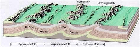 Plunging Anticline