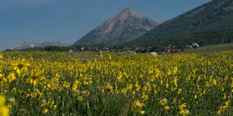 Best Crested Butte Hiking Trails in Colorado Rockies