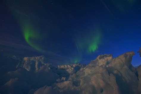 Icy Realm: The Cool Inhabitants of Greenland | RoundGlass | Sustain