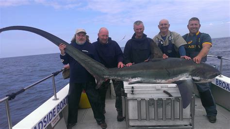 Shark fishing Wales UK | Fishing Trips | Sharking | Dive Charter | Commercial | Broadside Boat ...