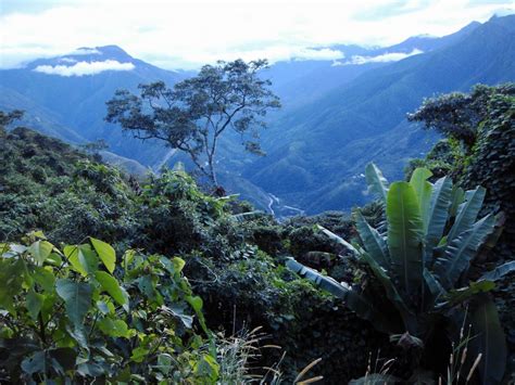 Yungas en La Paz, Bolivia