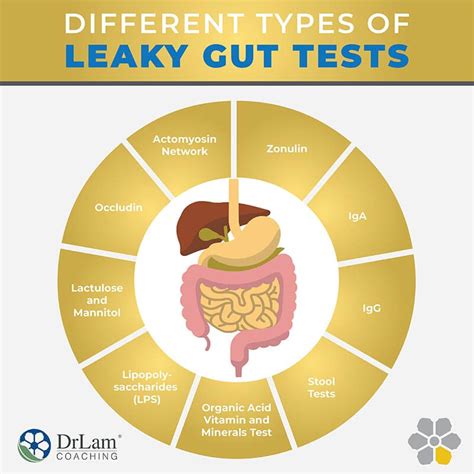 Discover Unexpected Ways Healing a Leaky Gut Can Improve Your Health