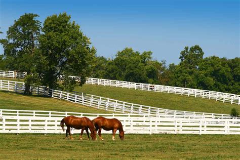 The Kentucky Horse Park: A Complete Guide