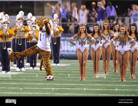 Aug 2013 31 lsu golden girls tigers hi-res stock photography and images ...