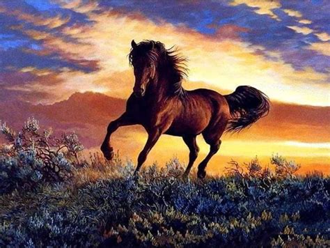 5D Diamond Painting Horse Under a Sunset Sky Kit - Bonanza Marketplace