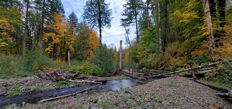 NetMap Pilot Project - Tualatin River Watershed Council