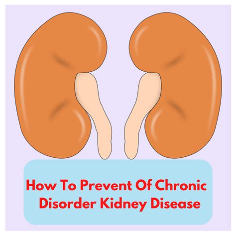 How To Prevent Of Chronic Disorder Kidney Disease | Symptoms - Health tips-talk