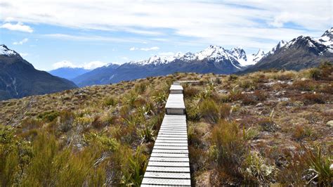 Fiordland Best Walks - The Best Hikes In Fiordland National Park - Best ...