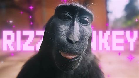 rizz monkey edit 🦧 - YouTube