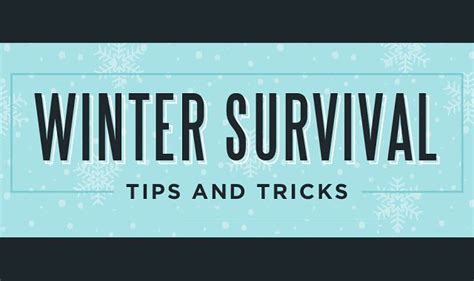 Winter Survival Tips and Tricks #Infographic | Winter survival ...