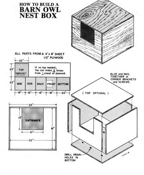 Great Horned Owl Bird House Plans