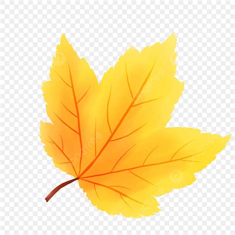 Clipart Fall Leaf