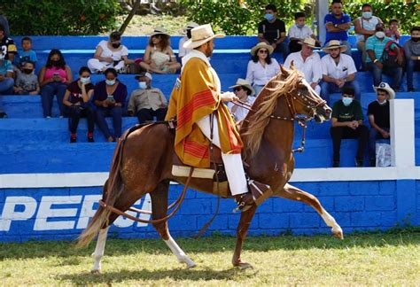 Ganaderia Flor del Valle - Caballos Peruanos de Paso y Ganado Brahman