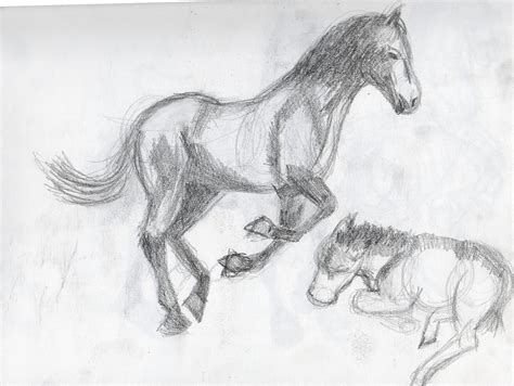 Britt's Graphics: Animal Drawing Practice: Horses
