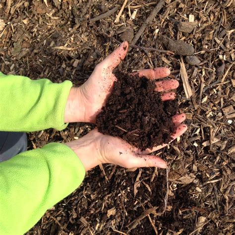 Chop Wood Carry Water Plant Seeds: Wood Chip Gardening at The Willow Farm