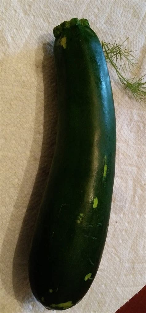 Cherrygal.com : SQUASH * BLACK BEAUTY ZUCCHINI * ORGANIC HEIRLOOM SEEDS 2021 - $1.25