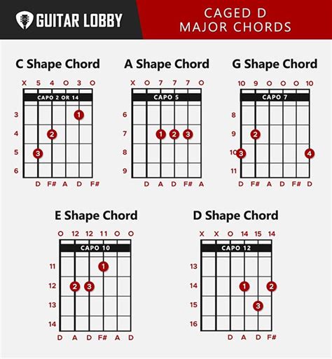 D Guitar Chord Guide: 8 Variations & How to Play - Guitar Lobby