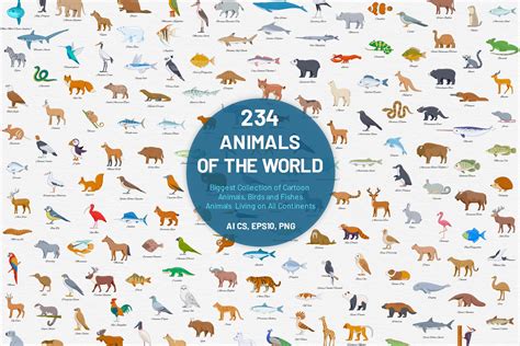 234 Animals of the World | Animal Illustrations ~ Creative Market