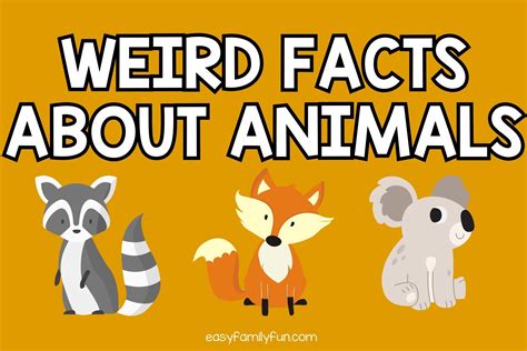 100 Weird Facts About Animals for Kids