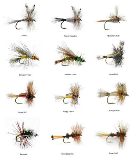 Fly Fishing Flies | 72 Dry Fly Assortment | Fishing Gear | Sale - Feeder Creek