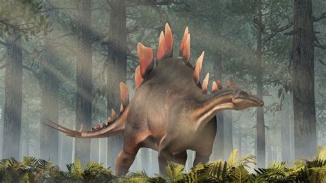 New stegosaurus discovered by British team in Morocco | Science ...