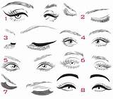 Eyes With Lashes Clip Art Vector Sketch Coloring Page sketch template