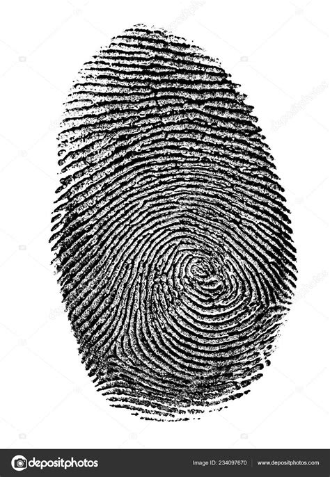 Fingerprint Black White Real Fingerprint Isolated Transparent Paper Stock Photo by ©kristo74 ...