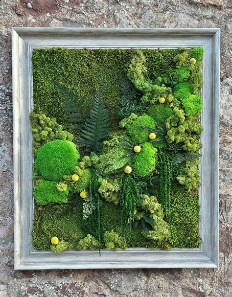 Preserved moss wall art - Flower La Vita - Torquay, Torbay florist