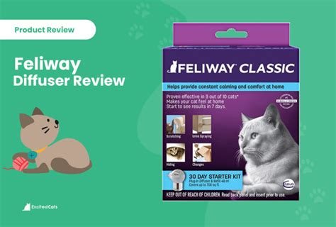 Feliway Cat Diffuser Review in 2024: Recalls, Pros & Cons - Catster