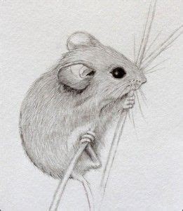 Pin by Baldhart's Feiertage und anlas on My drawings | Mouse drawing, Mouse illustration, Drawings