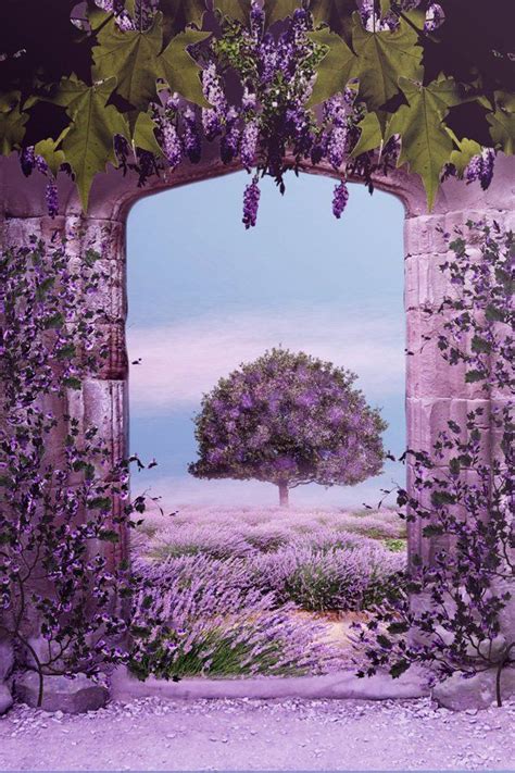 45 Purple Background Images | Art and Design | Campos de lavanda ...