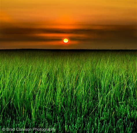 Grassland Sunset | Sunset, Grassland, Pretty places