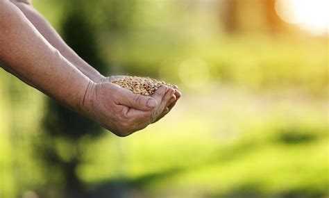 Premium Photo | Cropped hand of woman holding hands